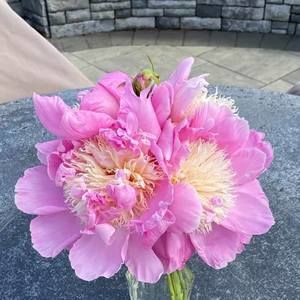 Meet your Posher, Terry